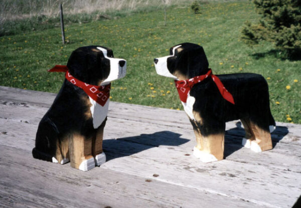 Bernese Mountain Dog