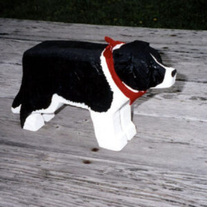 Border Collie