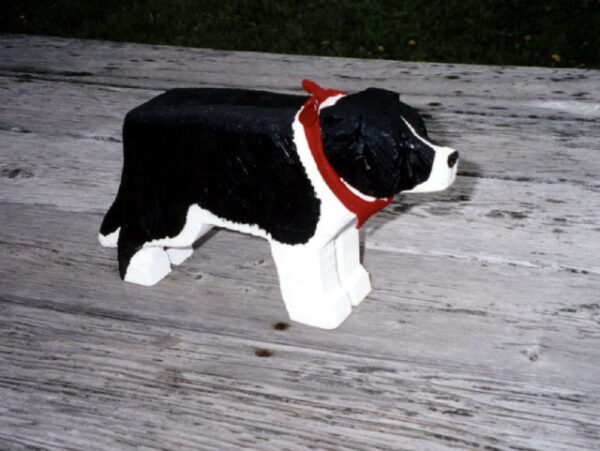 Border Collie