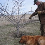 dog bark park, Cottonwood Idaho,