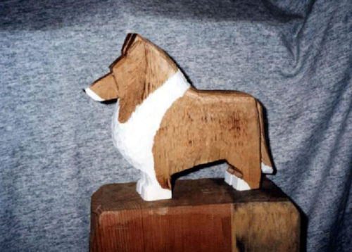 Collie Dog Breed
