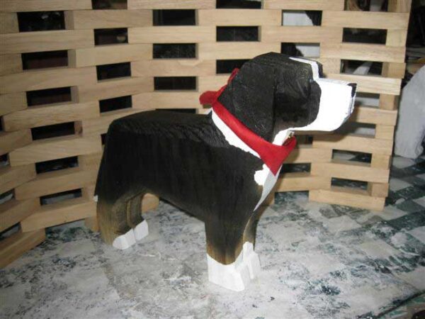 Greater Swiss Mountain Dog