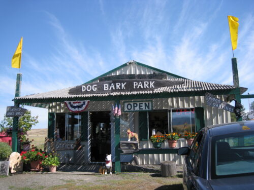 Visitors will see this view of the Dog Bark Park office and gift shop.